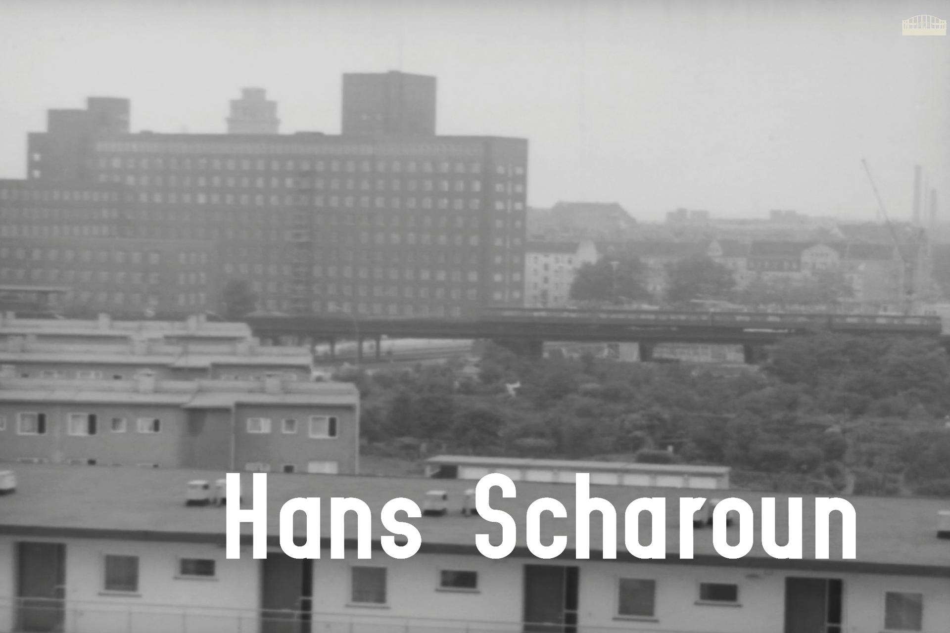 Hans Scharoun im Fokus